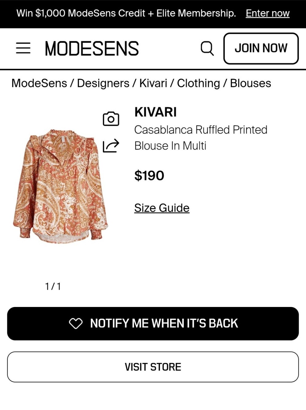 Kivari Casablanca Floral Paisley Ruffled Pleated Lace Detail Top, Size 4 - Picture 3 of 11